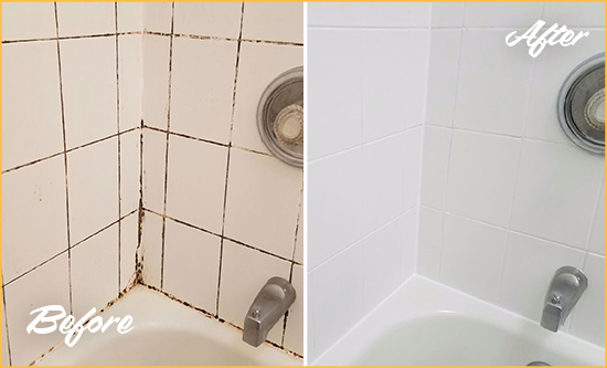 Before and After Picture of a Flemington Shower Tile and Grout Cleaned to Eliminate Mold