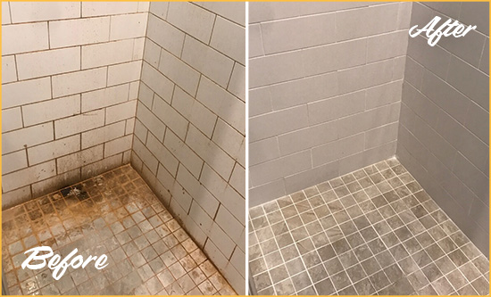 Before and After Picture of a Flemington Shower Tile and Grout Cleaned to Eliminate Mold and Stains